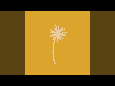 蒲公英
