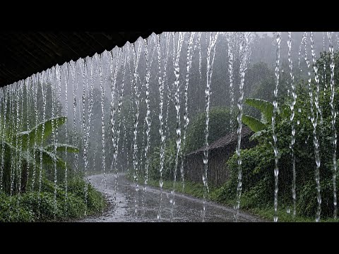 Sleep Instantly! Real Heavy Rain Pouring from a Roof (No Ads) | Deep Sleep All Night