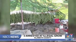 3 arrested at illegal grow in Klamath County