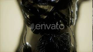 Human Skeleton Bones Scan Glowing | Motion Graphics - Envato elements
