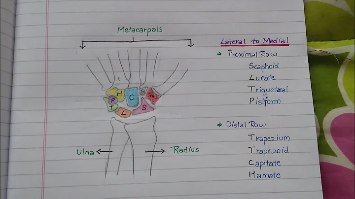 Learn Anatomy of Carpal Bones with easy to remember Mnemonics