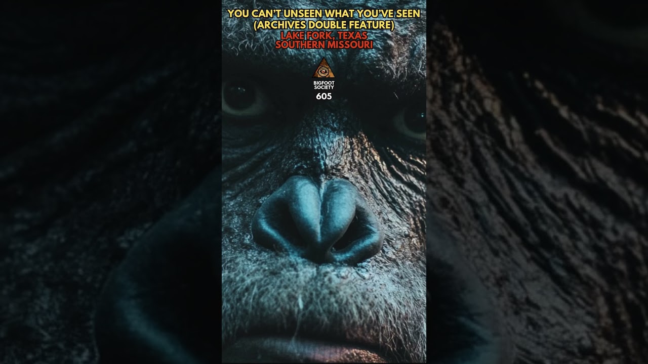 🌲👣 Ever wondered about the truth behind Bigfoot stories? Our latest episode with hunter Mark from 🌲👣 Ever wondered about the truth behind Bigfoot stories? Our latest episode with hunter Mark from