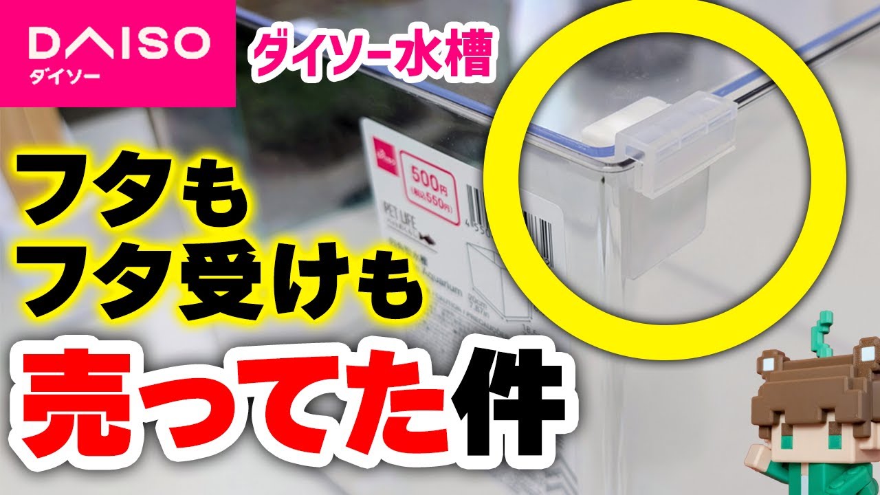 ダイソー水槽！フタとフタ受けもダイソーで全部揃っちゃいます【100均アクア】【ビバアクア】#アクアリウム #熱帯魚