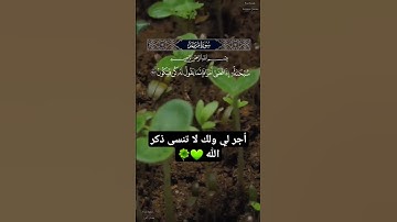 أجمل تلاوة تجويد خاشعة ومؤثرة للشيخ عبدالباسط عبدالصمد #عبدالباسط_عبدالصمد #تجويد #قرآن #سورة_مريم