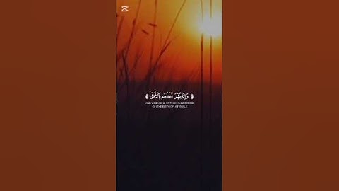 أفضل تلاوة القرآن الكريم بصوت جميل اللهم اجعل القرآن ربيع قلوبنا ونور صدورنا #المصحف #quran