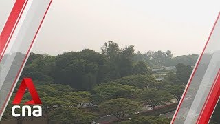 Hazy condition due to 'accumulation of particulate matter', says NEA screenshot 1