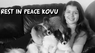 Rest in peace Kovu