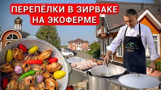 ПЕРЕПЕЛКИ ТОМЛЕННЫЕ В ЗИРВАКЕ. ЭКОФЕРМА "КОНОВАЛОВО"