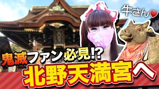 【総本社 北野天満宮】❤️さゆりが受験生のために学問の神様に合格祈願‼️