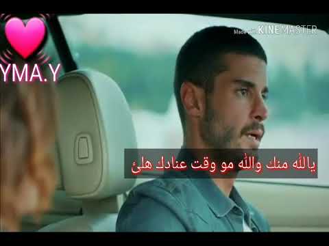 اجمل حالة واتساب عن العناد جان وفتون مع انك مصيبة مجنونة وعنيدة