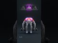 🔥 Strong Back = Strong Body (Dumbbell Edition)
