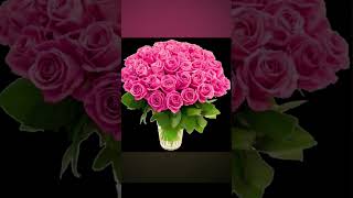 Sree Raama Navami 2025