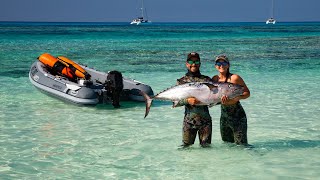 Spearfishing Dogtooth Tuna in the Coral Sea (Sailing Popao) Ep.30