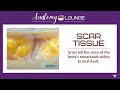 ScarTissue: The Anatomy of A Scar | Massage & Bodywork magazine