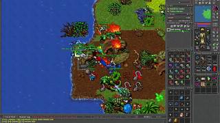 Tibia Amera - Gek Going 514 ED