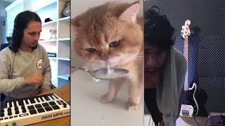 The kiffnes X NumNum Cat xX wirakusuma (bass lines cover)