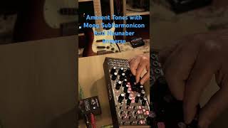 Ambient Tones with #Moog Subharmonicon and #neunaber Immerse #ambient #electronic #synthesizer