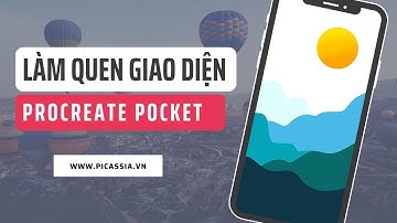 Làm quen với giao diện Procreate Pocket | Vẽ trên iPhone - Picassia