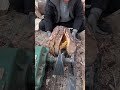 Wood Crushing in Machine 🌳