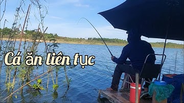 Câu cá , cắm trại tại lòng hồ Trị An #3 ngày cuối