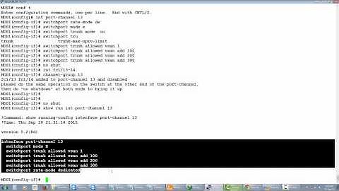 CISCO MDS BASICS  3 PORT CHANNEL program video from NETWORKERS HOME