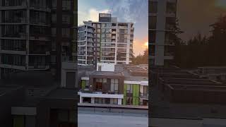 IMG 1173