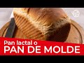 Cmo hacer pan de molde o lactal receta fcil