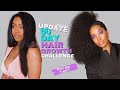UPDATE Natural Hair Growth Regimen 2 Month Challenge | Grow Natural Hair | Melissa Denise
