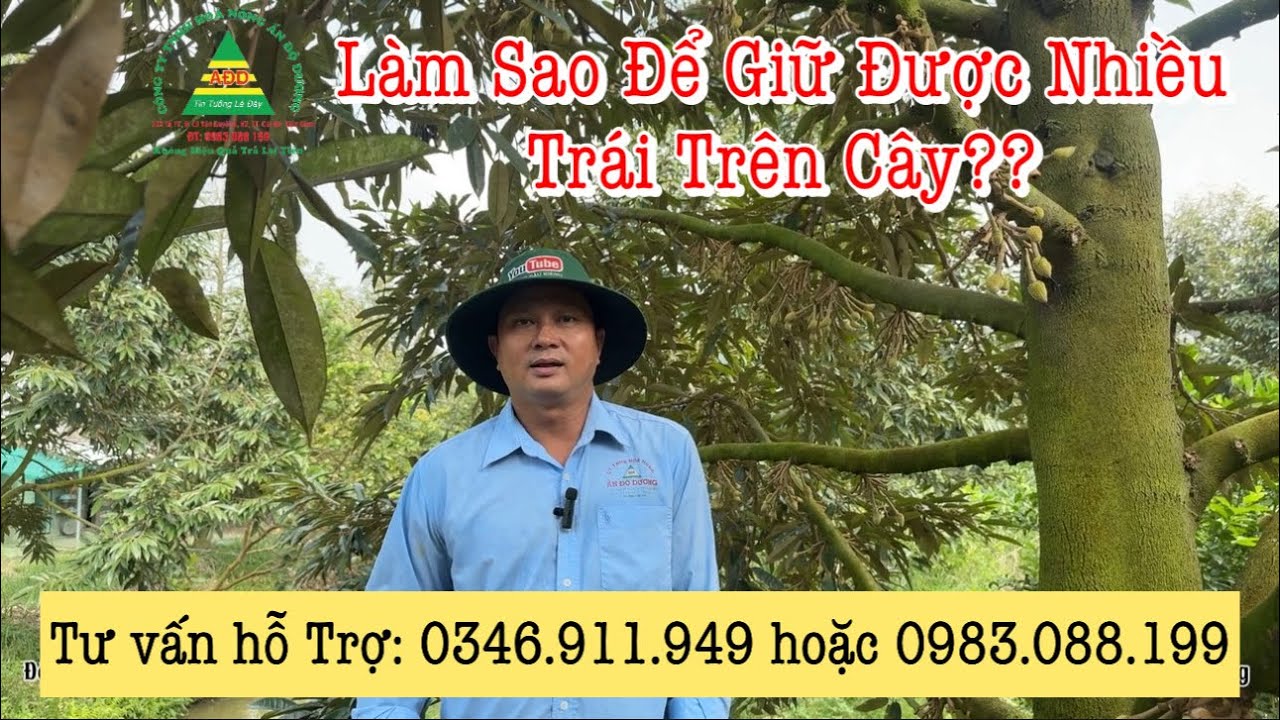 TẬP 10. LÀM SAO ĐỂ GIỮ ĐƯỢC NHIỀU TRÁI TRÊN CÂY ( NGUYỄN PHI ÂĐD )