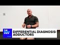 Differential Diagnosis: Adductors