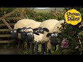 Shaun The Sheep S Ultimate Farm Fun Family Cartoon Compilation Full Episodes 60 Minutes