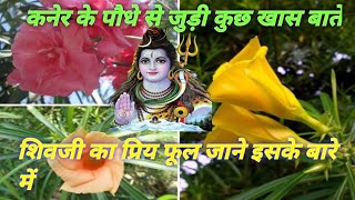 कनर पध स जड कछ खस बत र