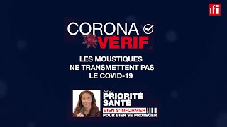 NON, les moustiques ne transmettent pas le Covid-19 ! CoronaVérif #12