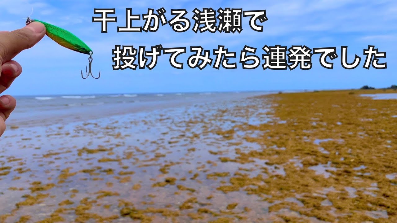 海釣りでスプーンってめちゃくちゃアリじゃない！？って思った旅の日