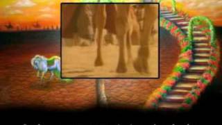 Grup Fedaiyan - Kafile