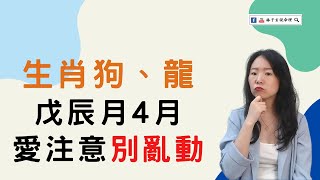 生肖狗、龍戊辰月4月愛注意運氣偏弱別亂動為好 | 命理知識學習 | #林子玄說命理