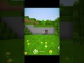 Minecraft Secret Mountain Entrance Moment