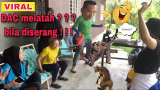 DAC melatah bila diserang??? | Geng Latah | behind the scene #melatah #fyi #opocotmelatah #lawak