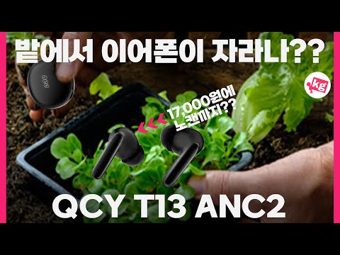 2만원 아래에 노캔까지 주는 <strong>QCY</strong> T13 ANC2 개봉기