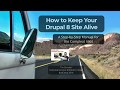 Drupal 8サイトを存続させる方法：完全な馬鹿のためのガイド