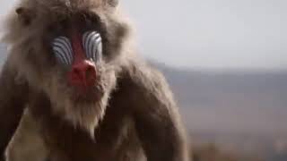 El Rey León   Ciclo sin fin 1080p Latino 1