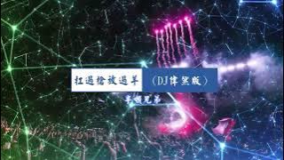 扛过枪放过羊(DJ伟然版) - 半吨兄弟【备有清晰版伴奏】