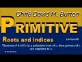 8. Theorem 8.4 | Primitive Roots Modulo 𝑛 | Elementary Number Theory by David M Burton | M.sc Math