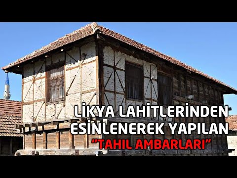 Video: Sitede Tahıl Yetiştiriyoruz