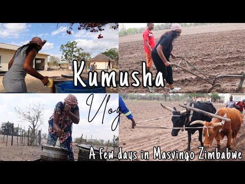 ZIMBABWE TRAVEL VLOG |Kumusha (Rural Area) | Masvingo | A few days in Masvingo | PART 2