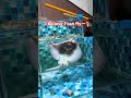 Share this video,Who understands your humor? #funny #humour