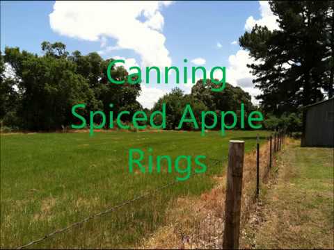 CTF E14: Canning Spiced Apple Rings