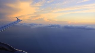 Lufthansa A321-321 |Landing in Frankfurt [HD]