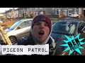 Ben phillips  pigeon patrol  a cow had cmmed on my car  prank