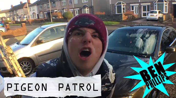 Ben Phillips | Pigeon Patrol - a cow had C*mmed on...